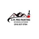 AM PRO PAINTING